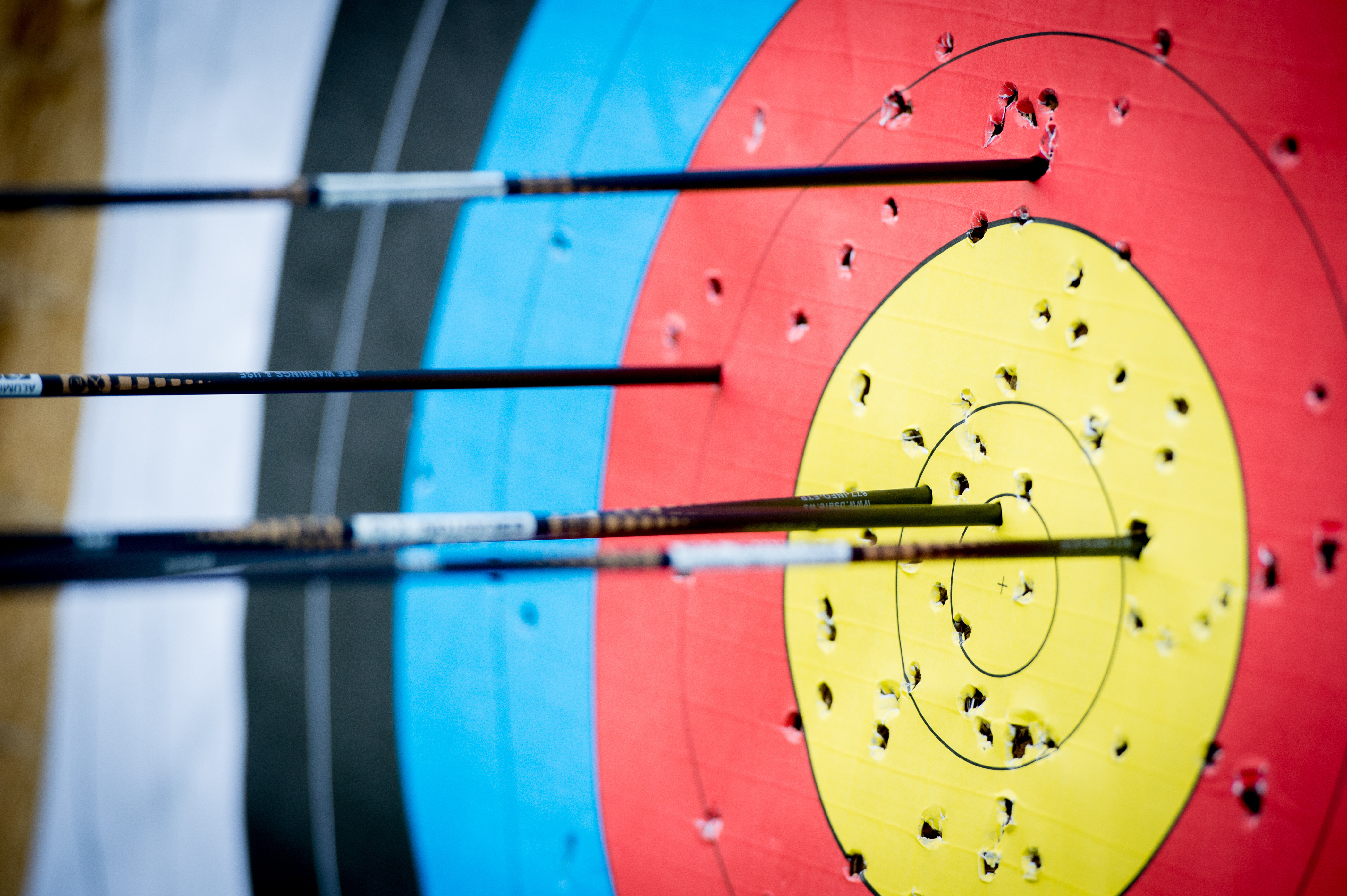 The archer has shot a lot of arrows in the target