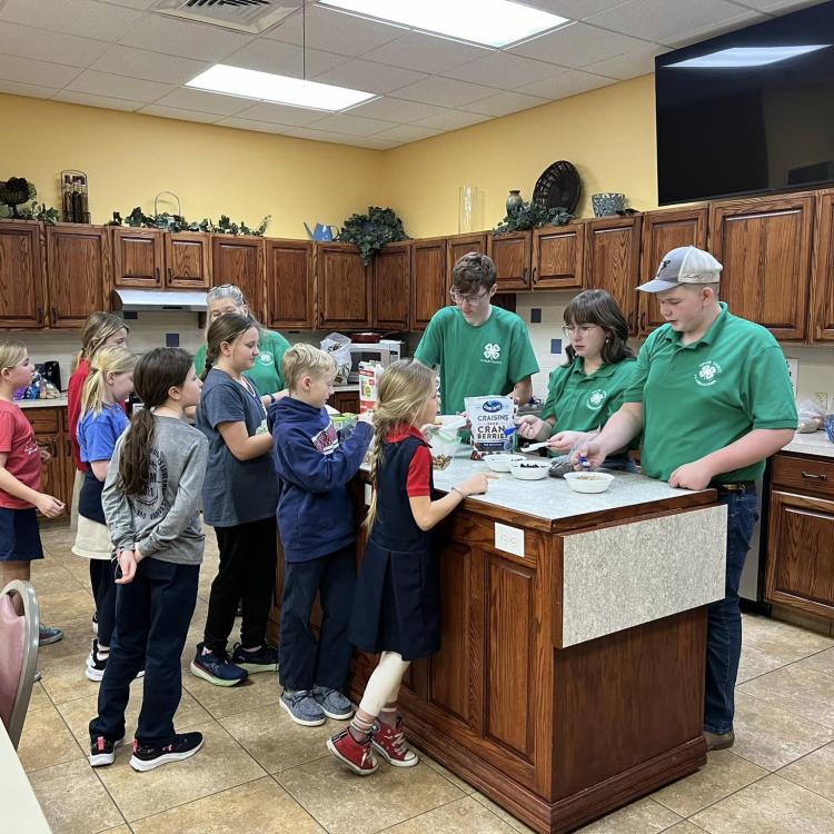  4-H