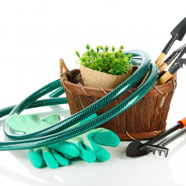  Gardening Tools